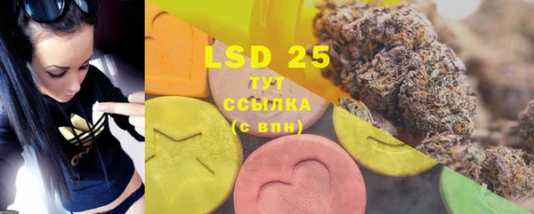индика Алексеевка