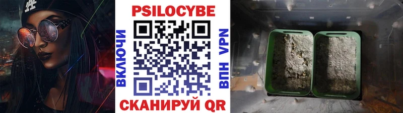 купить закладку MEGA зеркало Галлюциногенные грибы Cubensis Нарьян-Мар